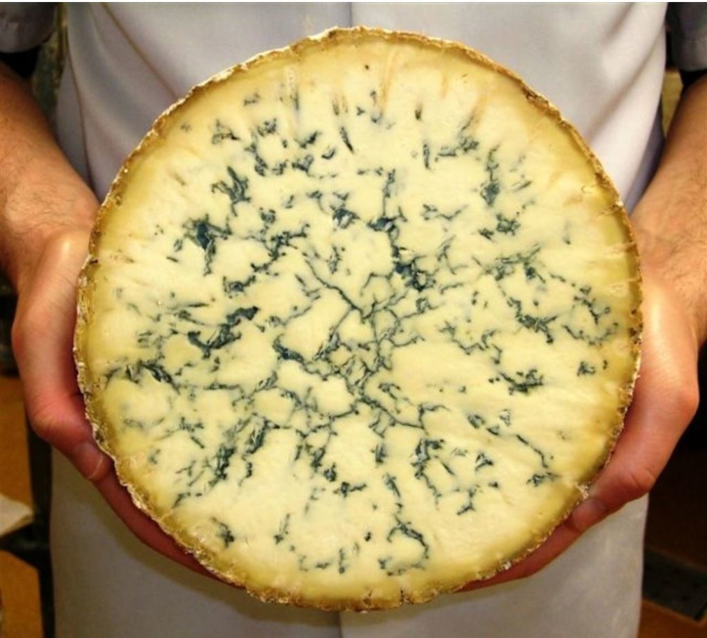 Blue Stilton How It's Made And What Are The Best English Blue Cheeses